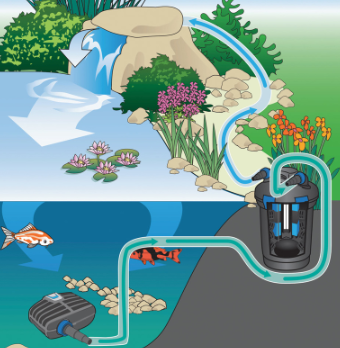 Diagram of a pond with filtration system showing water flow and plants.