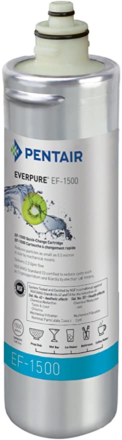 Drinking Water Filter Everpure EF-1500 | PBS200 - NZ Pump And Water Filters